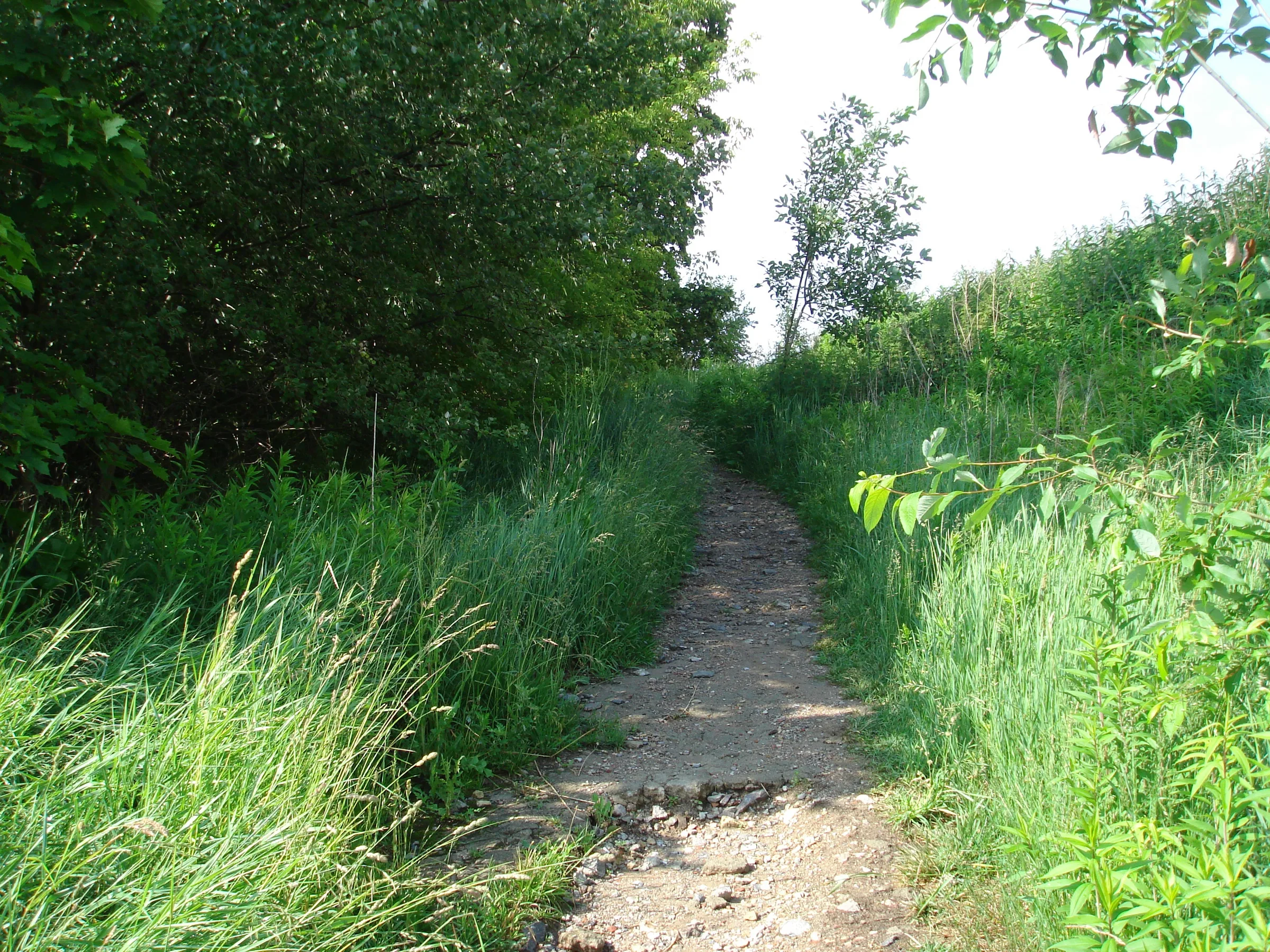 ikea road